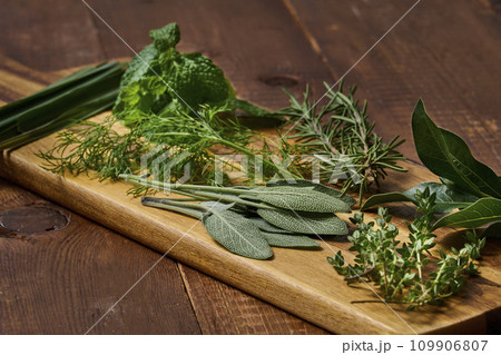ハーブ　herb フレッシュハーブ　freshherbs 109906807