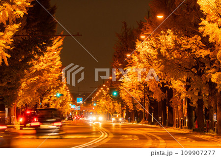 《東京都》八王子甲州街道沿い・黄金色のイチョウ並木の夜景 109907277