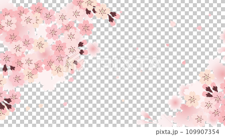櫻花背景素材(單獨) 櫻花背景素材(單獨) 109907354