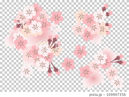 Cherry blossom background material (parts) Cherry blossom background material (parts) 109907356