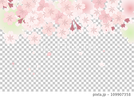 Cherry blossom background material (top) Cherry blossom background material (top) 109907358