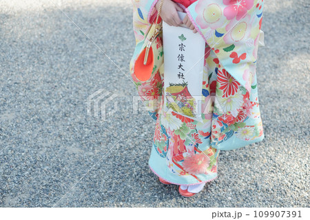 七五三で晴れ着を着た女の子 109907391