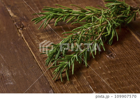 ローズマリー rosemary ハーブ herb フレッシュハーブ fresh herbs ローズマリー rosemary ハーブ herb フレッシュハーブ fresh herbs 109907570