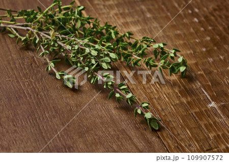 タイム　thymes　ハーブ　herb フレッシュハーブ　fresh herbs 109907572