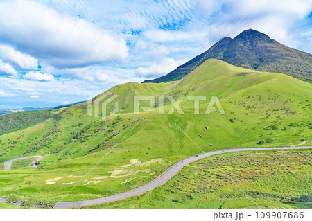 【由布シルキーロードから見る由布岳】 大分県由布市湯布院町川上 109907686