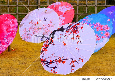 華やかな花模様の和傘 華やかな花模様の和傘 109908597