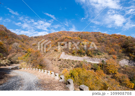 【林道】紅葉に染まるオフロード 109908708