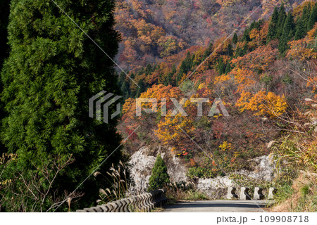 【林道】紅葉に染まるオフロード 109908718