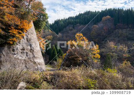 【林道】紅葉に染まるオフロード 109908719