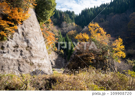 【林道】紅葉に染まるオフロード 109908720