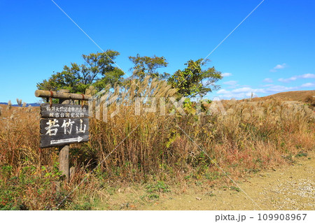 秋吉台国定公園　秋の秋吉台 109908967
