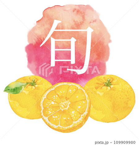 水彩で描いたミカンのイラストと水彩アイコン 109909980