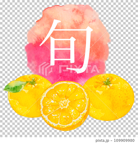 水彩で描いたミカンのイラストと水彩アイコン 109909980