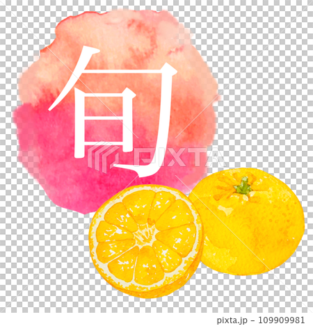 水彩で描いたミカンのイラストと水彩アイコン 109909981