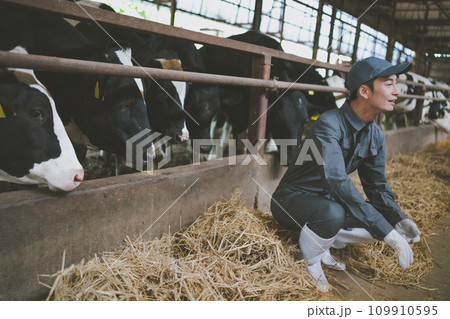 ranch 109910595