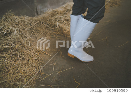 ranch 109910599