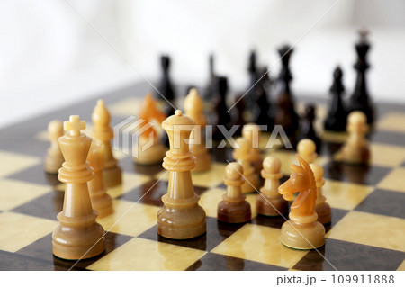 チェスセット チェス盤と駒 109911888