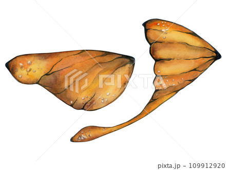 Hand drawn watercolor illustration butterfly fairy wings gem crystal insect moth. Amber sardonyx onyx topaz jasper. Set of objects isolated on white background. Design print, shop, wedding, birthday 109912920