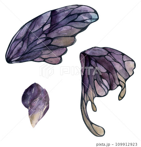 Hand drawn watercolor illustration butterfly fairy wings gem crystal insect moth. Amethyst charoite fluorite ametrine. Set of objects isolated white background. Design print, shop, wedding, birthday 109912923