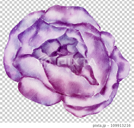 Flower watercolor hand paint 109913216