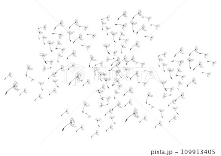 Dandelion Logo, Vector Plant Dandelion flower, Design Icon Template Dandelion Logo, Vector Plant Dandelion flower, Design Icon Template 109913405
