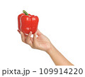 Hand holding fresh vegetables. Red bell pepper on white background, clipping path. 109914220