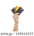 Hand holding many credit cards, clipping path. 109914225