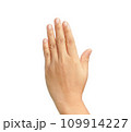 Clipping path, hand up isolated on white background. 109914227