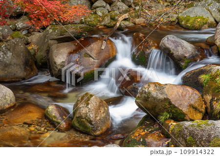 秋色に染まった花崗岩の間を流れる本谷川 秋色に染まった花崗岩の間を流れる本谷川 109914322