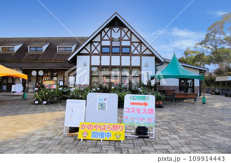 かのやばら園(鹿児島県) かのやばら園(鹿児島県) 109914443