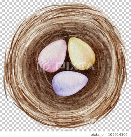 Easter egg in nest watercolor clipart 109914505
