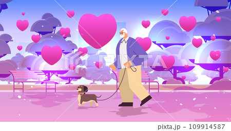 senior man in love walking in park with his little dog grandfather relaxing with pet valentines day celebration concept 109914587