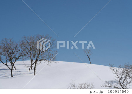雪の丘と青空 109914649