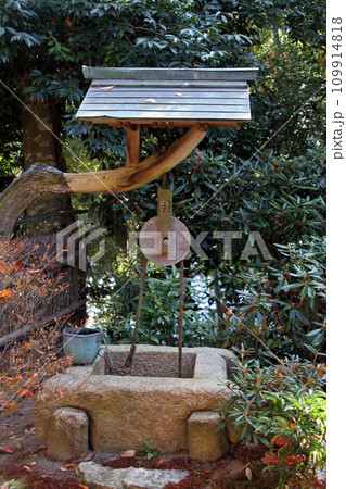 直指庵 庭園の古井戸 直指庵 庭園の古井戸 109914818