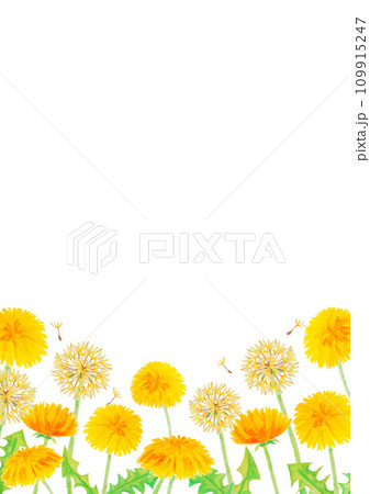 かわいい手書きのタンポポの背景 かわいい手書きのタンポポの背景 109915247
