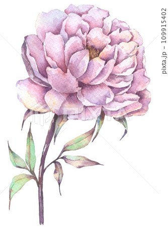 Autumn flower watercolor hand paint Autumn flower watercolor hand paint 109915402