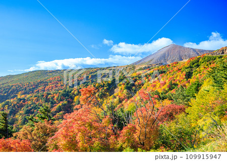 秋の磐梯吾妻スカイライン　天狗の庭　福島県福島市 109915947