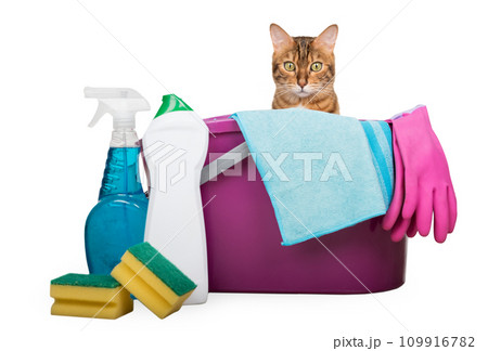 Cleaning products and tools for cleaning the house on a transparent background. Cleaning products and tools for cleaning the house on a transparent background. 109916782