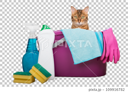 Cleaning products and tools for cleaning the house on a transparent background. Cleaning products and tools for cleaning the house on a transparent background. 109916782