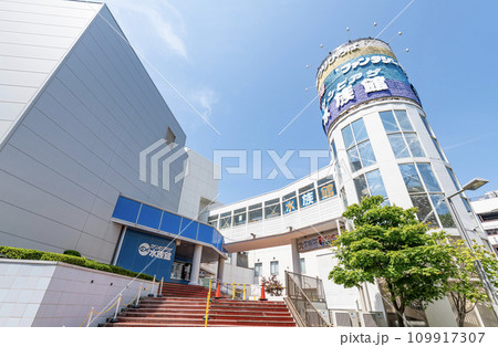 北海道札幌市　札幌近郊の水族館　新さっぽろサンピアザ水族館 109917307