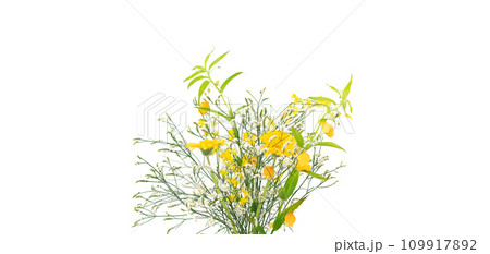 花　植物　フラワーアレンジメント 109917892