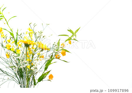 花　植物　フラワーアレンジメント 109917896