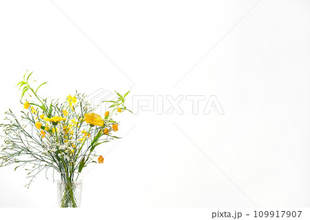 花 植物 フラワーアレンジメント 花 植物 フラワーアレンジメント 109917907