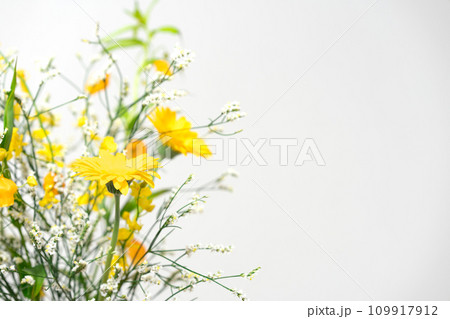 花 植物 フラワーアレンジメント 花 植物 フラワーアレンジメント 109917912