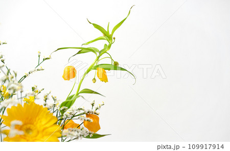 花　植物　フラワーアレンジメント 109917914