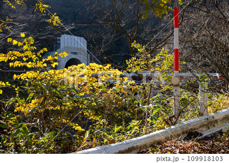 【国道417号】旧道から見る冠山峠道路 【国道417号】旧道から見る冠山峠道路 109918103