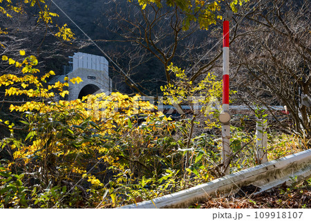 【国道417号】旧道から見る冠山峠道路 【国道417号】旧道から見る冠山峠道路 109918107