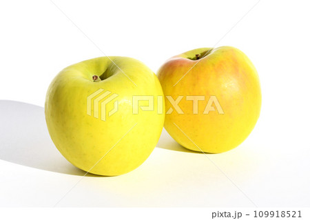 りんご（ぐんま名月） 109918521