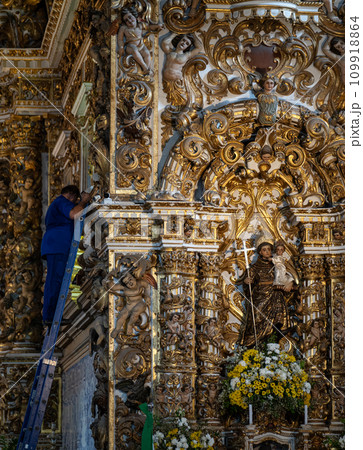 Unseen Worker on Ladder Against Ornate Church Wall 109918864