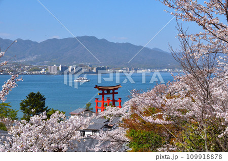 大野瀬戸 厳島神社 大鳥居 大野瀬戸 厳島神社 大鳥居 109918878